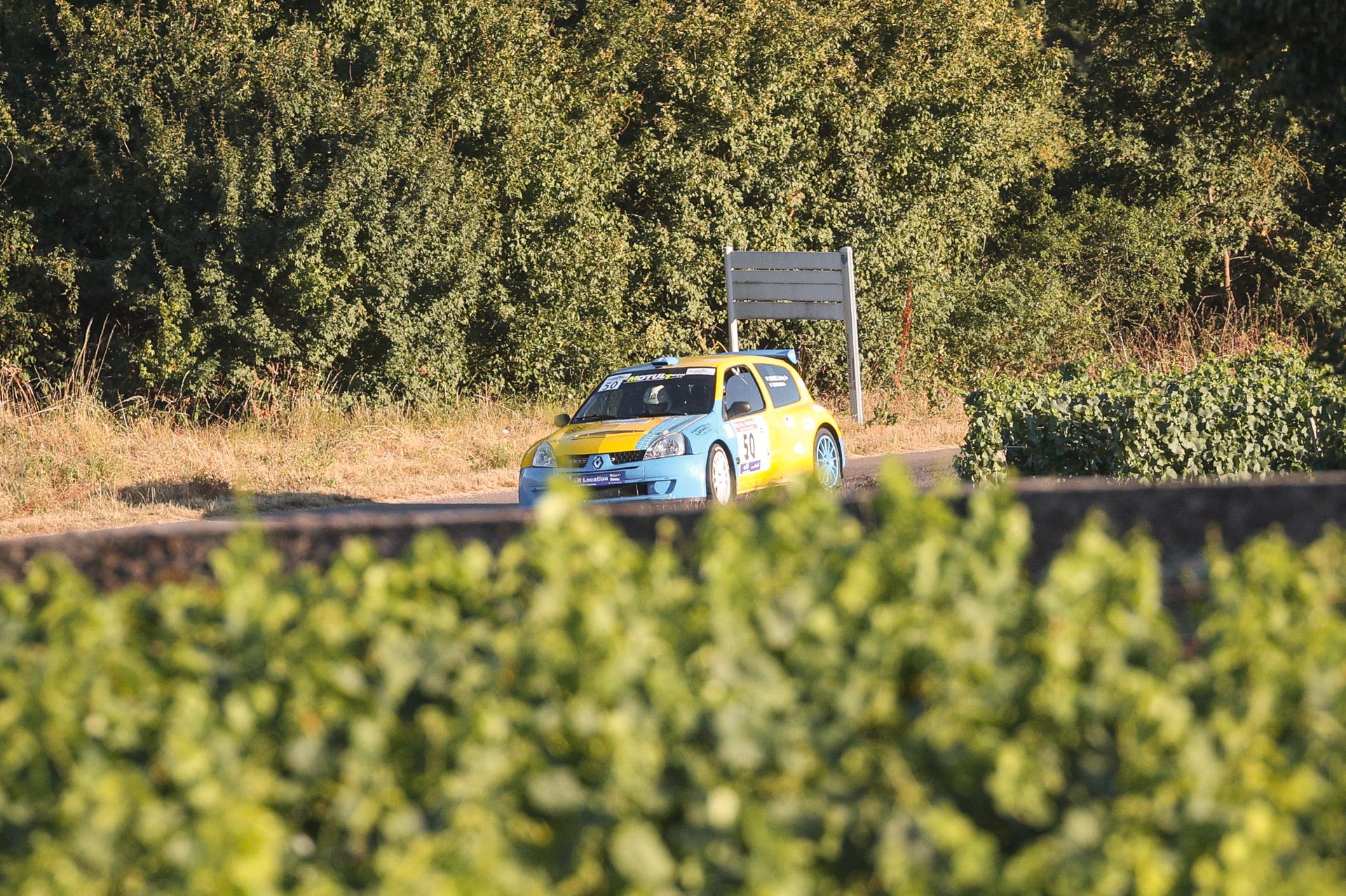 Clio lumière dorée dans les vignes