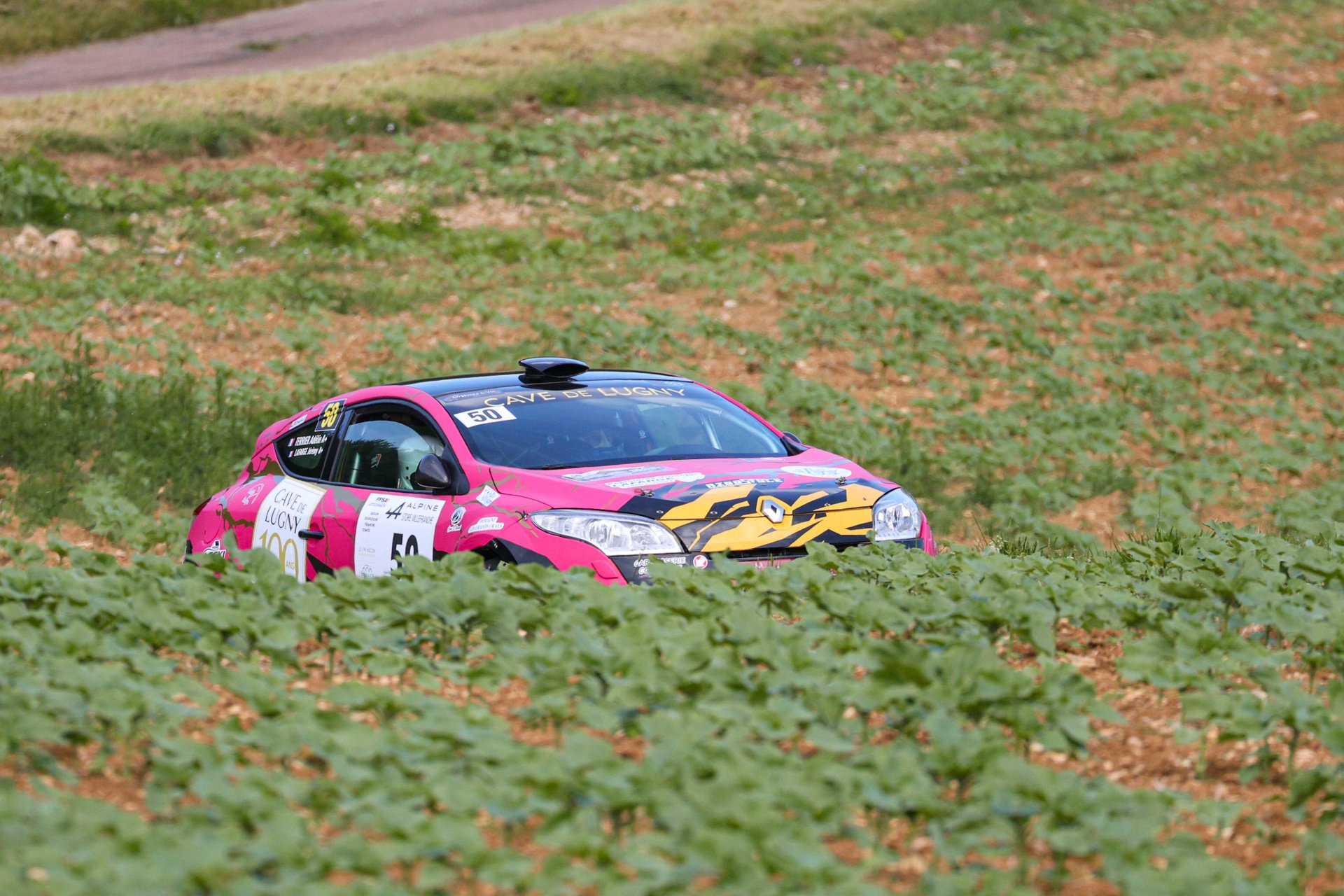 Alpine dans le champ vue originale